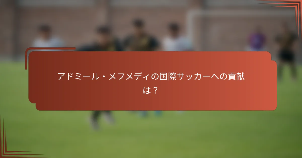 アドミール・メフメディの国際サッカーへの貢献は？