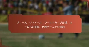 ブレリム・ジャメール：ワールドカップ出場、ユーロへの貢献、代表チームでの役割